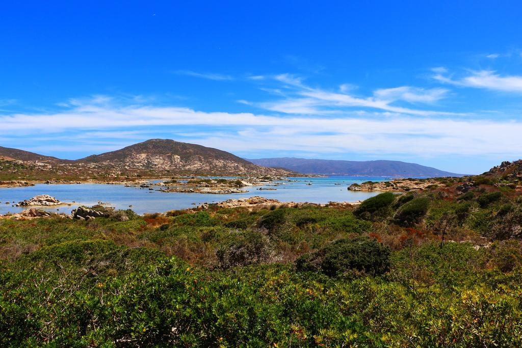 Il Melo Residence Porto Torres Bagian luar foto
